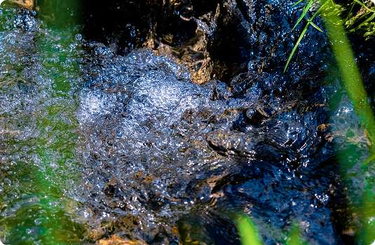 Image d'une rivière prise par une station vorteX-io