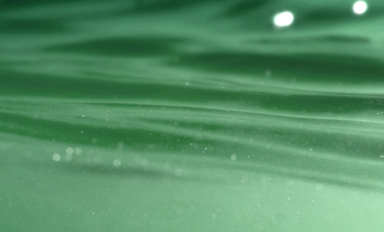 vorteX-io développe des méthodes innovantes de mesure de la qualité de l’eau