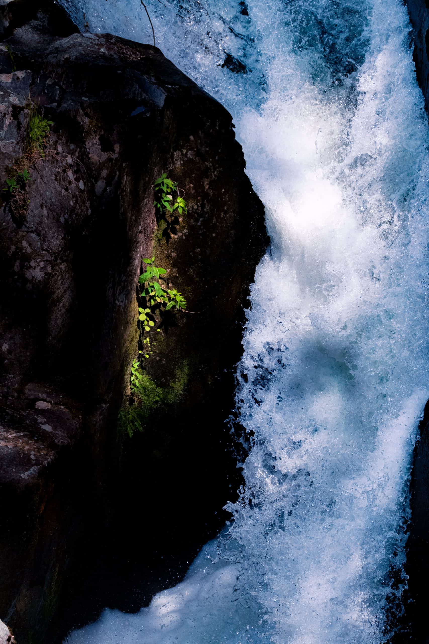 Cours d'eau sous surveilllance
