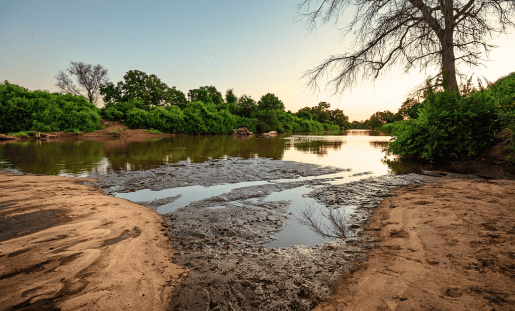 température des cours d’eau - mesure temps réel