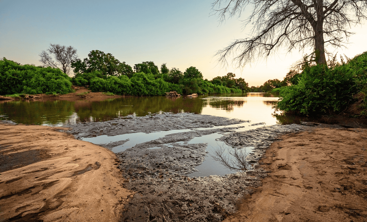 température des cours d’eau - mesure temps réel